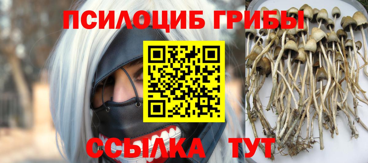 Псилоцибиновые грибы Magic Shrooms  сколько стоит  Галлюциногенные грибы мухоморы  Красногорск  Вход с VPN 