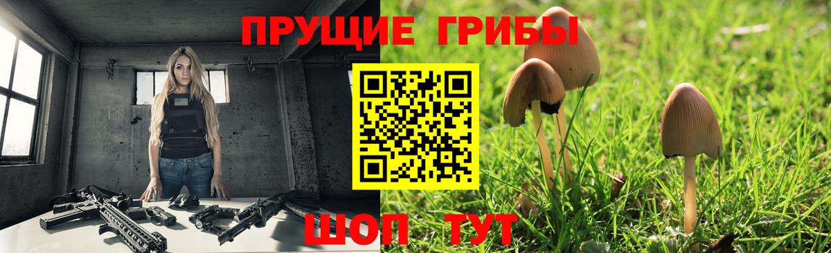 Псилоцибиновые грибы ЛСД Красногорск