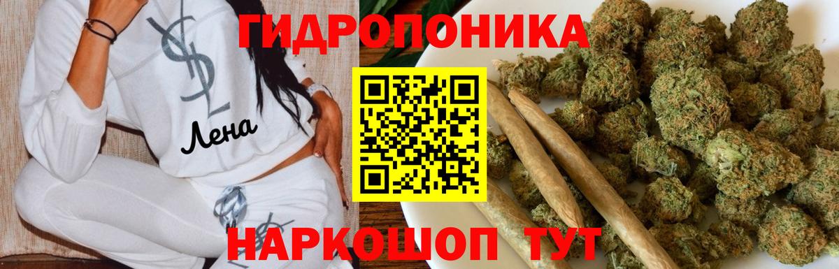 Бошки марихуана White Widow Красногорск